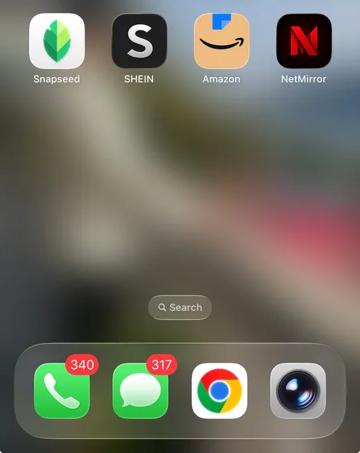 NetMirror icon on the iPhone Home Screen.