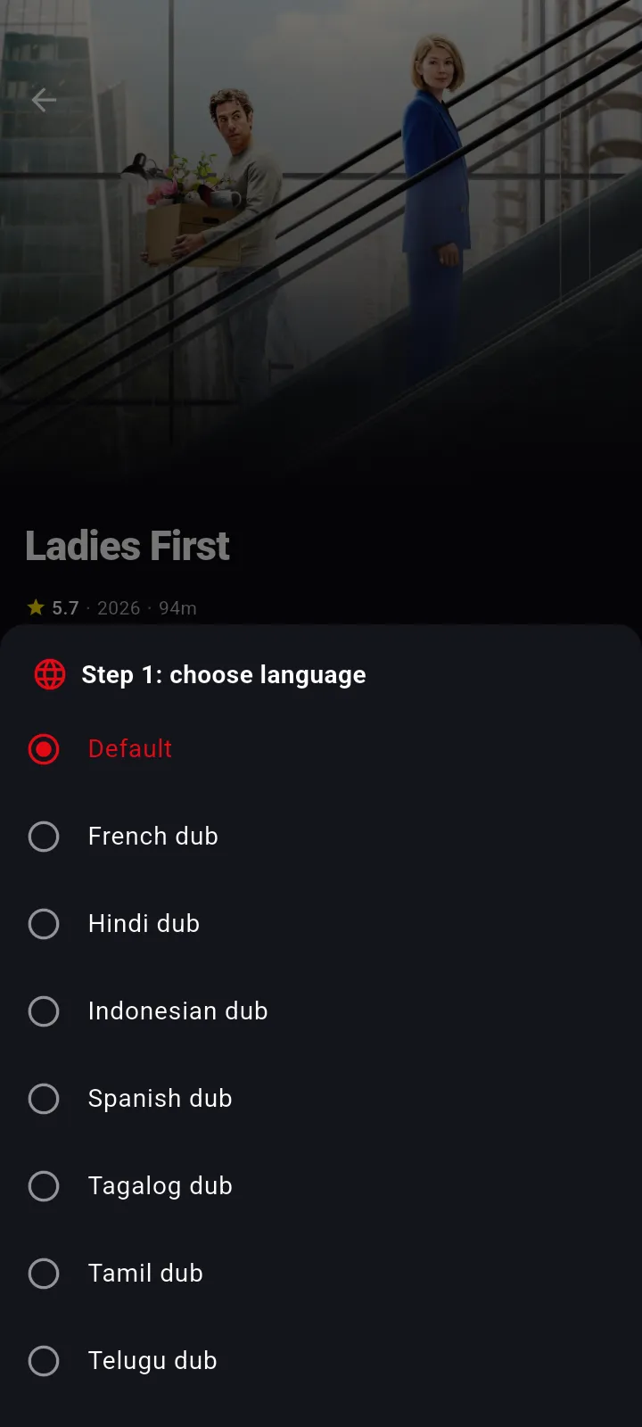 Pick your audio language — NetMirror app