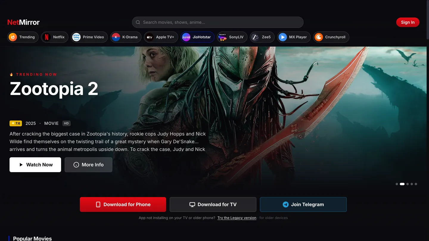 NetMirror web app open in a browser — provider chip row, featured banner and movie rails.